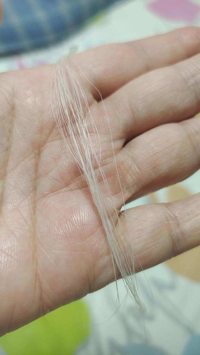 银带的潮流解读与时尚趋势